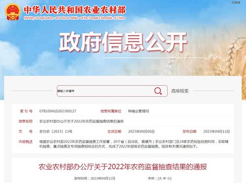 必维国际检验集团，全球视野