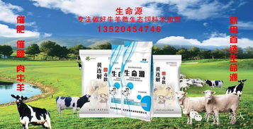 农业养殖必备：关注饲料、环境、防疫、繁殖、市场、技术