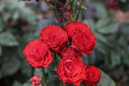 季节的秘密，种植的学问