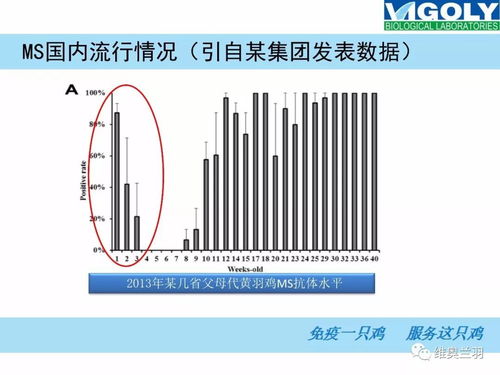 高效规模养殖场寄生虫防控策略