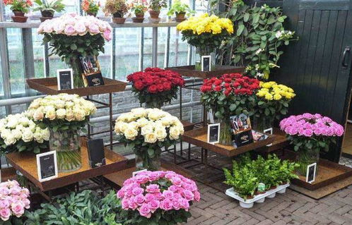 永生花只能送一次？花店老板揭秘背后的秘密