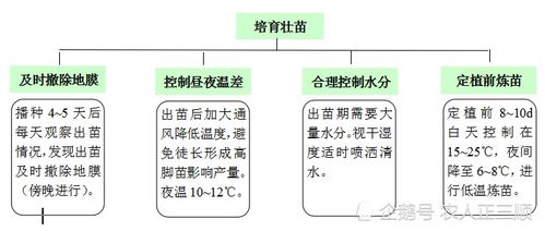防范棚室氨气危害，科学管理是关键