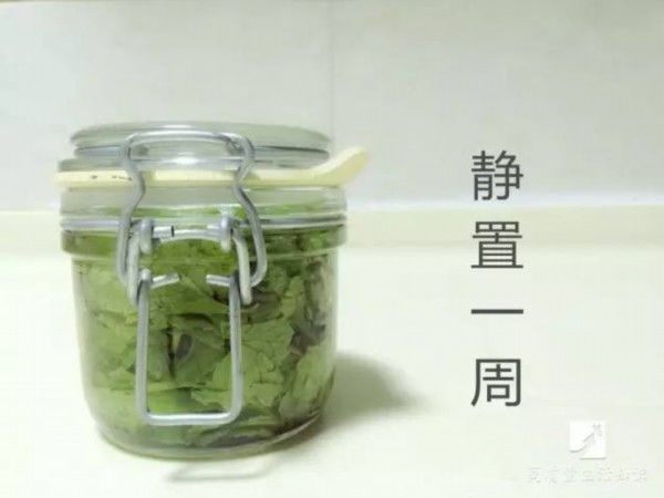 金银花晒液塞子低成本密封方案，哪种实测密封效果更好？