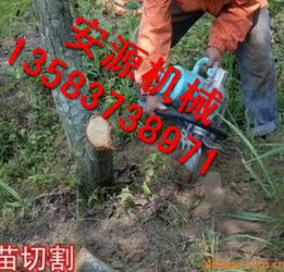 苗木土球大小之谜：如何挖出合适的树穴？