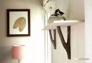 树干变家具，神奇大变身！