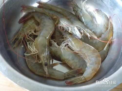 对虾不吃料怎么办？水质调控加这3种黄金拌料方案，能否拯救采食量降低50%的难题？
