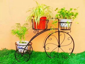 铁艺多层花架：提升空间利用率