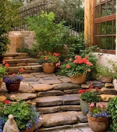 庭院边的紫苑， 蜜蜂蝴蝶的乐园