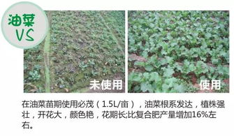 市场现状及趋势分析