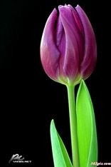 养球简单不简单？