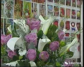 玉泉营花卉市场，花卉品种丰富