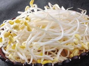 豆芽冷藏，如何保持新鲜