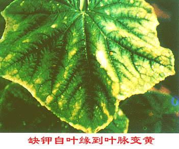 防治小技巧：你值得拥有