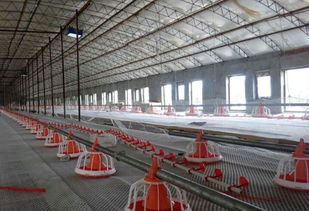 冬季畜牧供暖设备盘点：优缺点一览