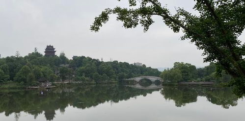 园林的亩数，得堪你怎么用了