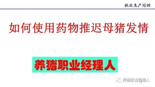 如何有效延长母猪的使用寿命？