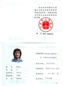 项目施工管理经验