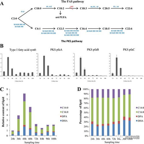 校正表， 丰收的密码