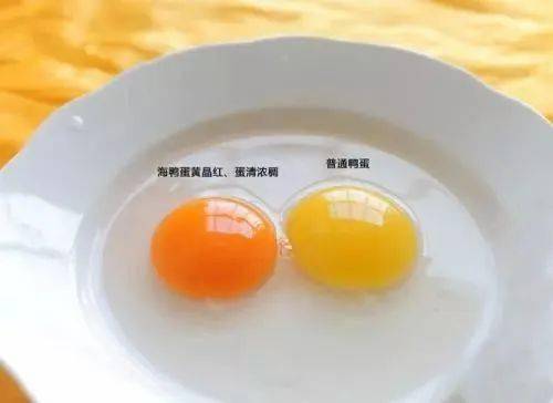 海鸭蛋，一种以海鸭为原料