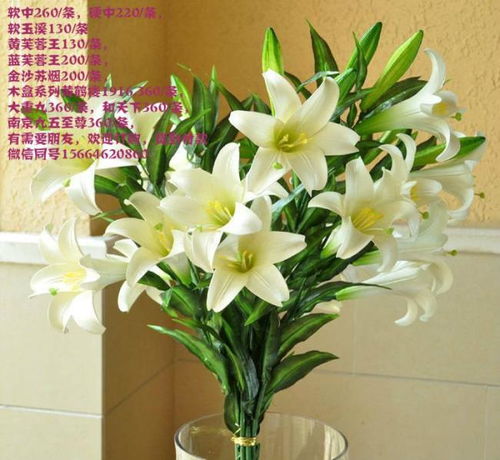 百合花插花，需了解百合花特性