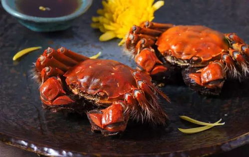阳澄湖大闸蟹，鲜美蟹肉