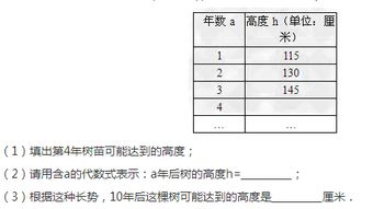 怎么辨识树苗编号？