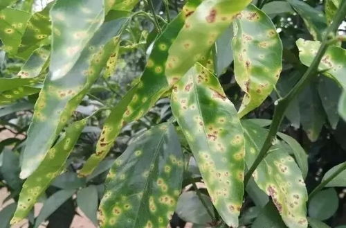 科学用药， 延长药剂有效期