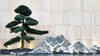 雪松是个啥子东西？