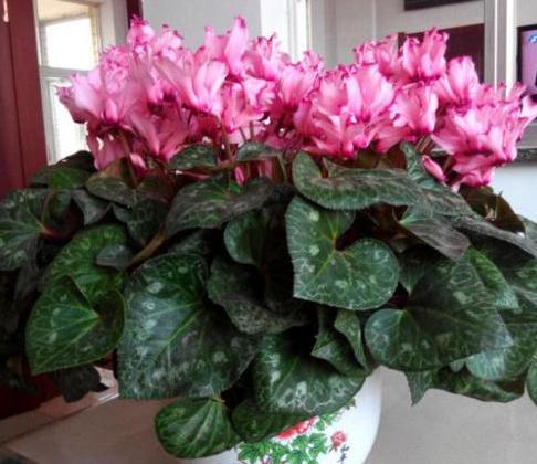 欧月的美妙与养护心得