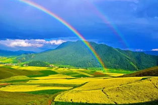 夏夜密码，诗意的破译