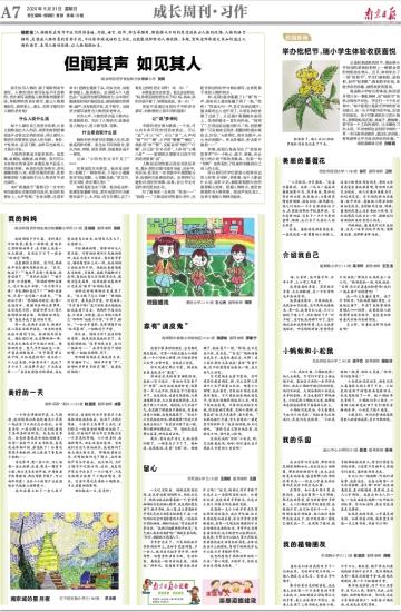 广告与调查报告