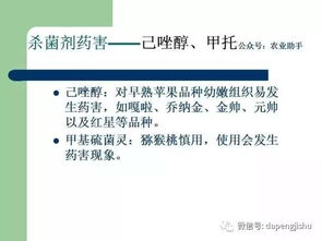 百菌清是个啥？