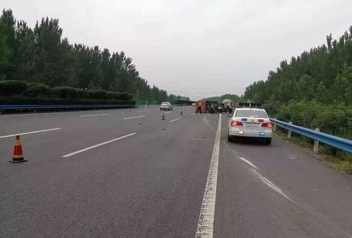 这些花是钢铁Zuo的吗？