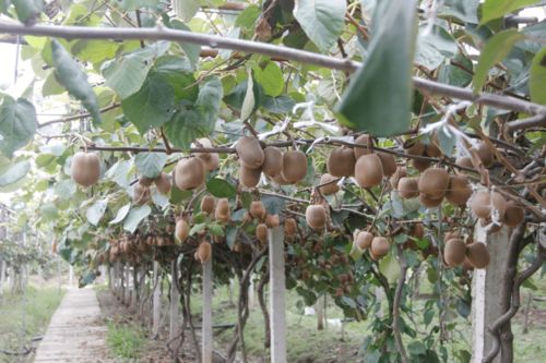 海鲜美食， 秋天的馈赠