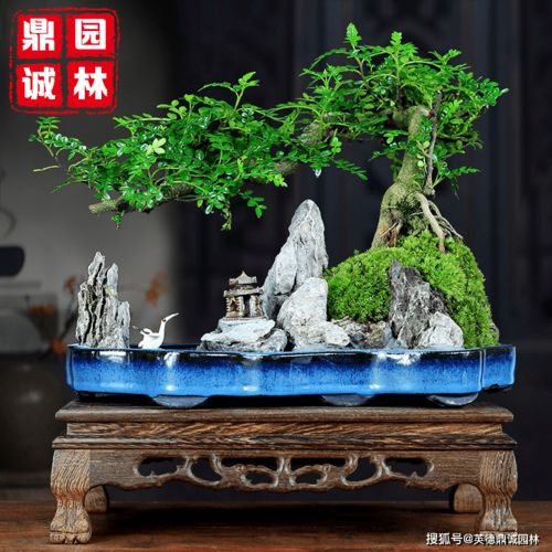 第一步：选石头，要讲究