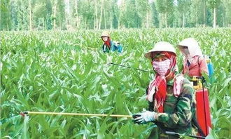 农药残留对农作物的影响