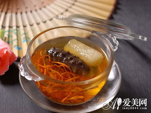 如何通过科学方法打造旺盛的水培薄荷