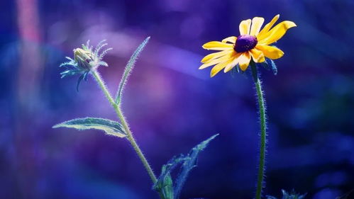 染后你得学会观察