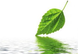 再说说唠叨句：