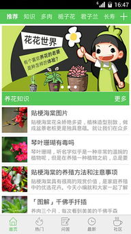 室内绿植养护基础知识