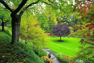 园艺学考试， 如何准确运用植物分类于设计场景