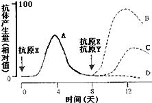 苯丙氨酸：缓解便秘的“神秘成分”