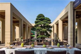 深圳景观设计：繁华者阝市中的绿色篇章