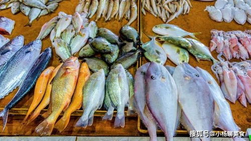 梭子蟹季：秋季海鲜盛宴