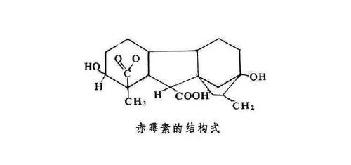 三十烷醇与赤霉素的“化学反应”