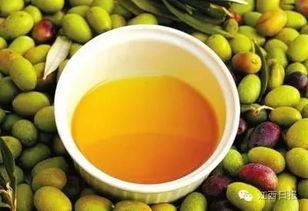 江西油茶盛产——山茶油，联系与种植信息一网打尽！
