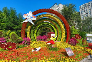 3、其他耐寒花卉