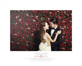 玫瑰花的颜色与含义