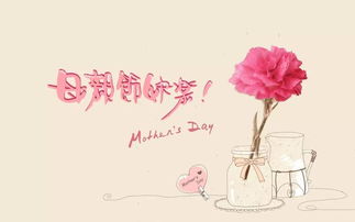 gypsophila花语是“幸福”