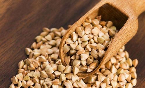 黄河滩涂薏米种植教训